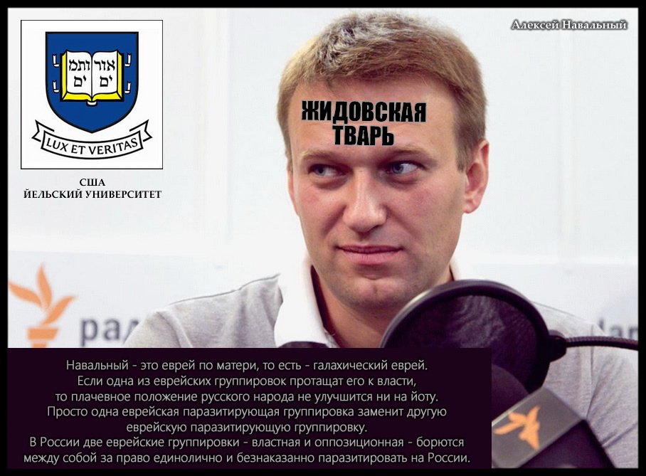 Навальный мразь. Навальный предатель России. Навальный выпускник Йельского.